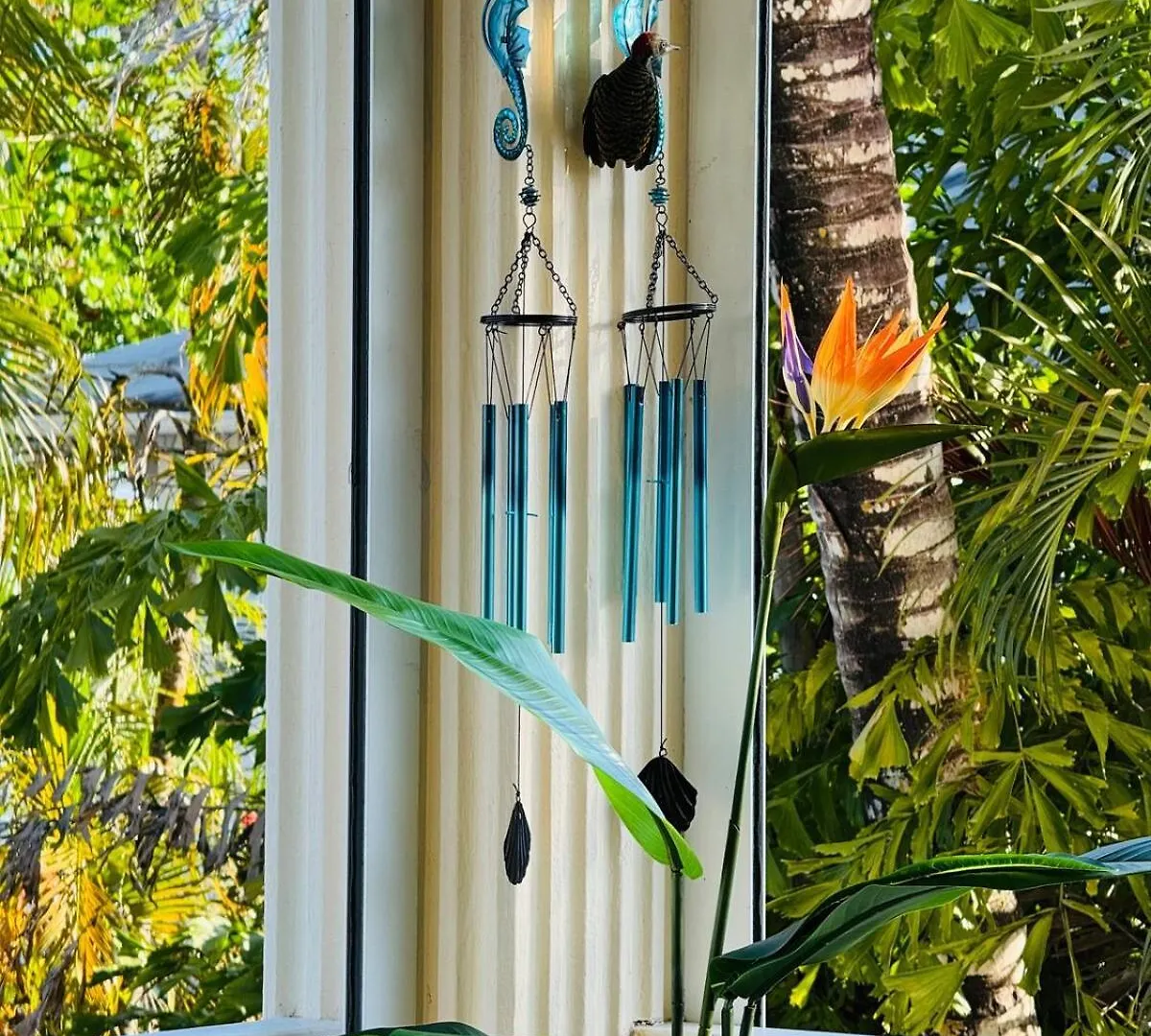 Las Terrenas La Dolce Vita 7, Captivating And Exciting